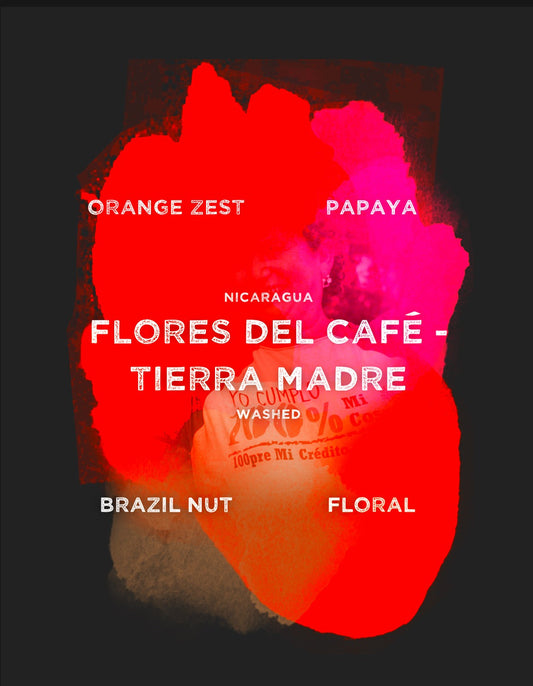 Women´s Project Fancy  - Espresso